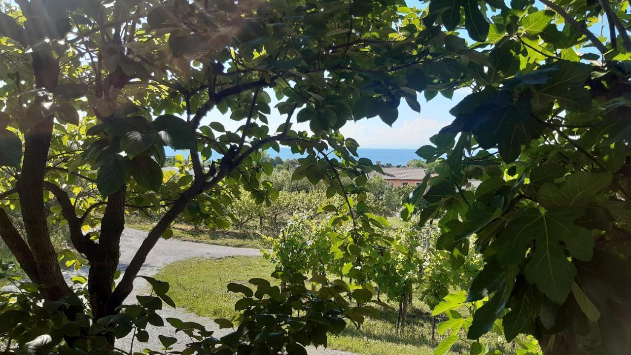 Apartma Tul Izola Exterior foto