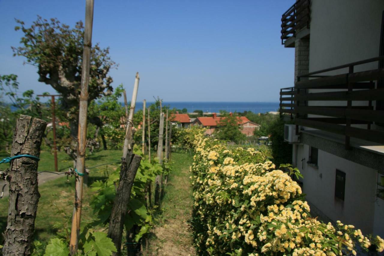 Apartma Tul Izola Exterior foto
